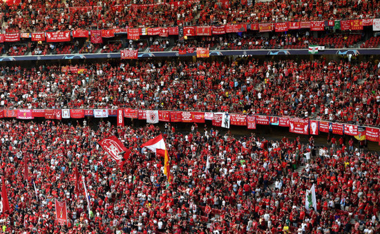 Tottenham Hotspur v Liverpool - UEFA Champions League - Final - Wanda Metropolitano