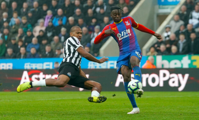 Newcastle United v Crystal Palace - Premier League - St James' Park