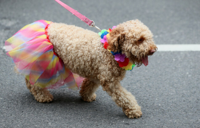 Dublin Pride Parade