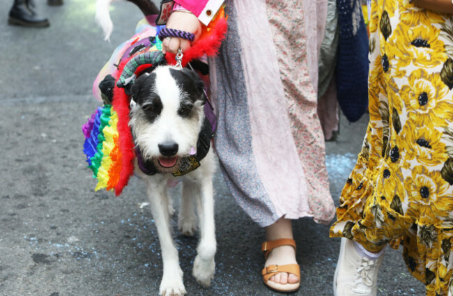1975 Dublin Pride Parade_90574269 (1)