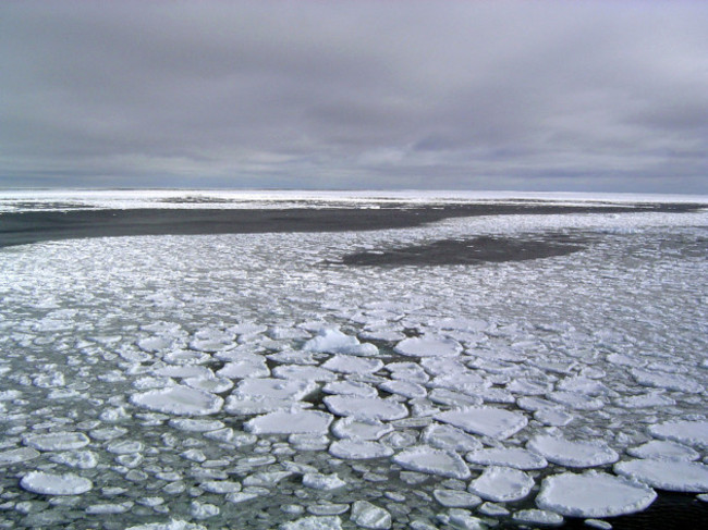 Antarctic Sea Ice
