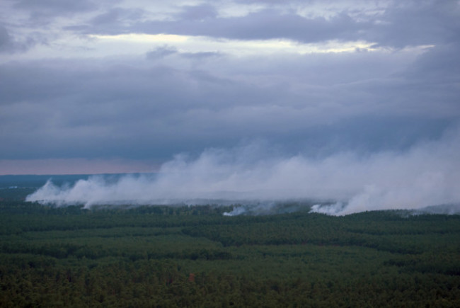 Germany Forest Fire