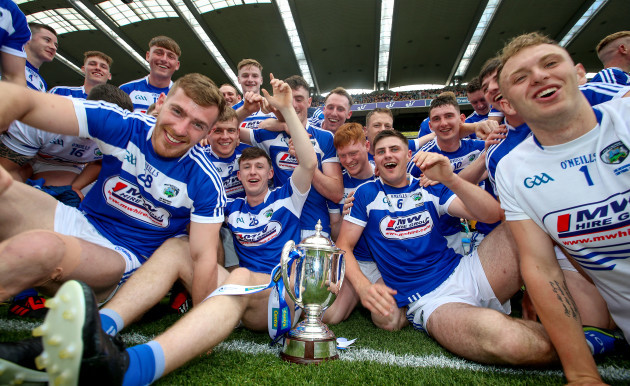 Laois celebrate after the game