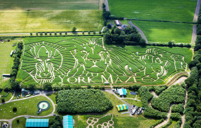 York Maze