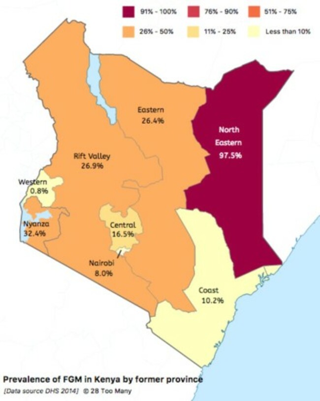 kenya 28 fgm stats