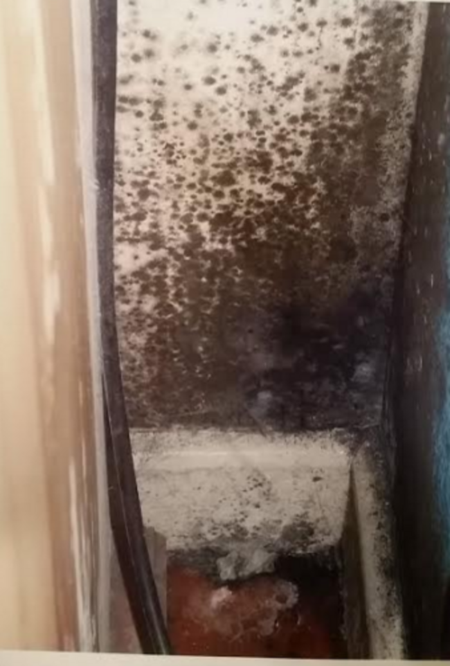 mould