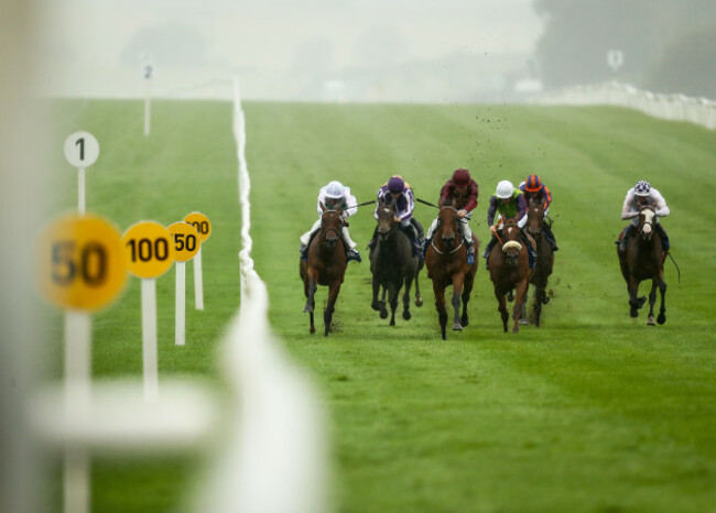 A view of the Loder Irish EBF Fillies Race