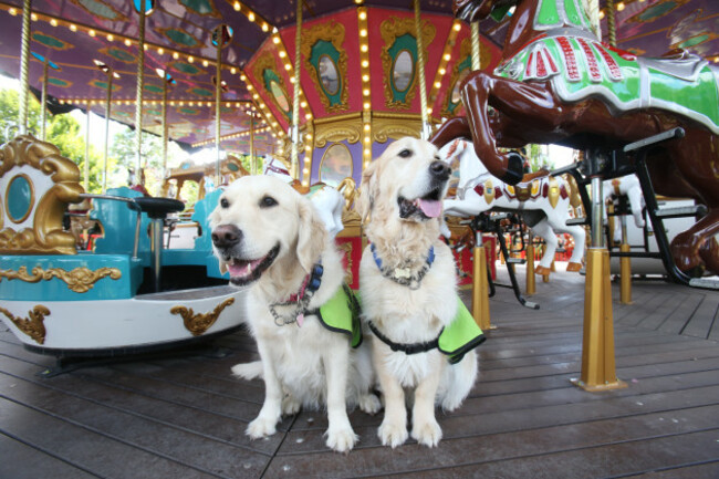 Irish Guide Dogs Tayto Park