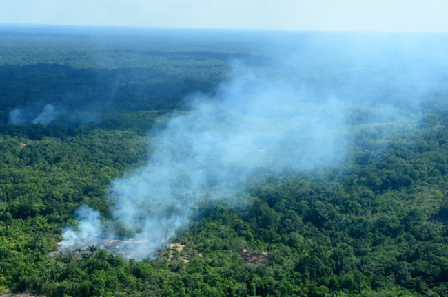 Amazon forest fires