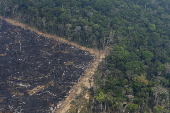 brazil-amazon-fires