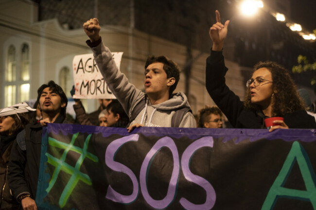 amazon-forest-fires-protest-in-brazil