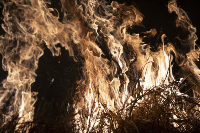 brazil-amazon-fires