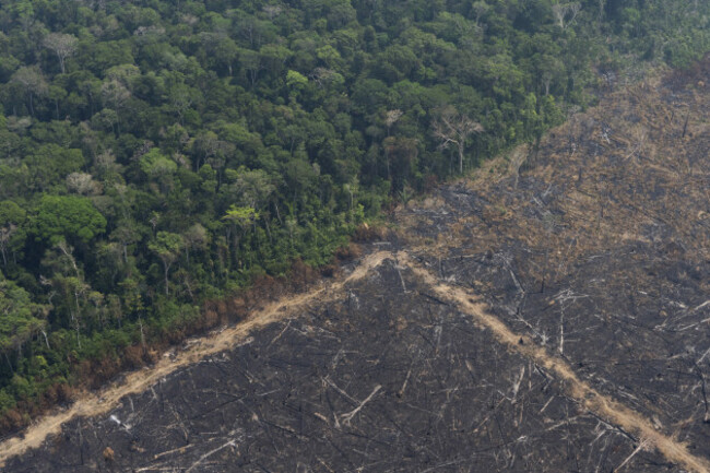 brazil-amazon-fires