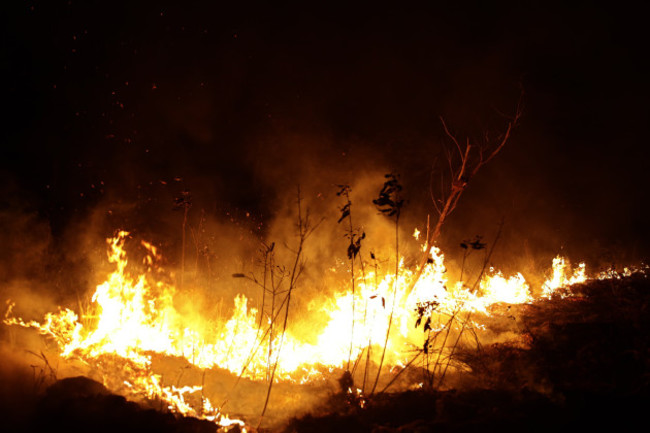 brazil-amazon-fires