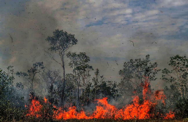 brazil-manicore-amazon-fire