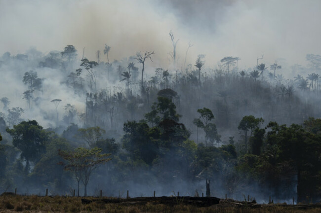 brazil-amazon-fires