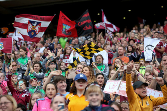 galway-and-kilkenny-supporters