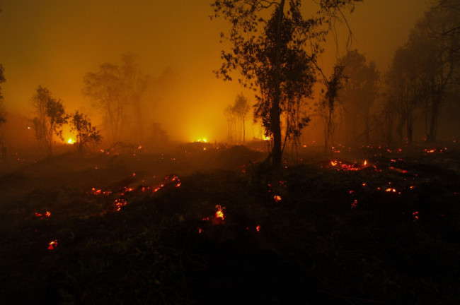 indonesia-riau-forest-fire