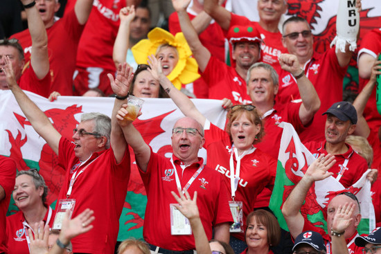 wales-fans-before-the-game