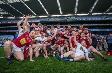 westmeath-celebrate-with-the-cup-after-the-game