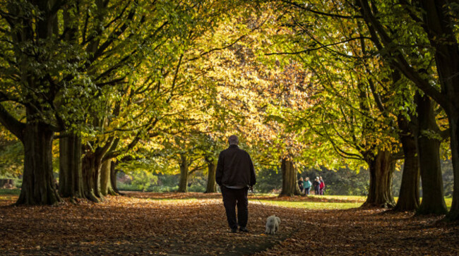 autumn-weather-oct-16th-2019