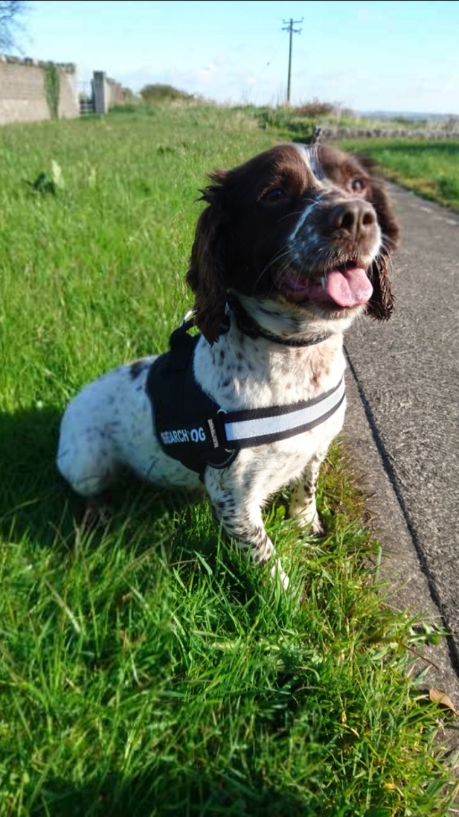 20191021 Detector Dog Kelly