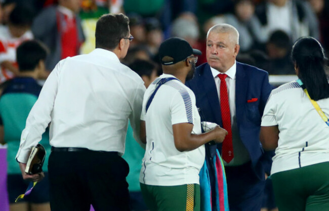 rassie-erasmus-and-warren-gatland