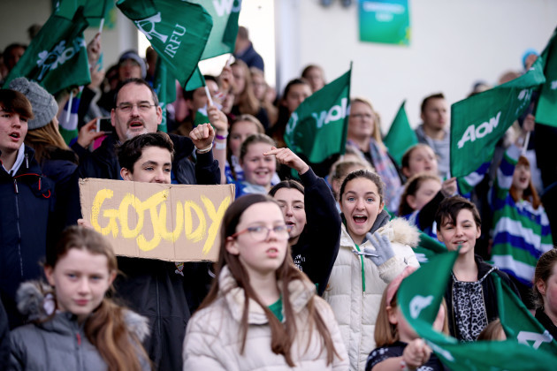 ireland-fans-at-the-game