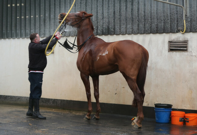gordon-elliott-stable-visit-cullentra-house