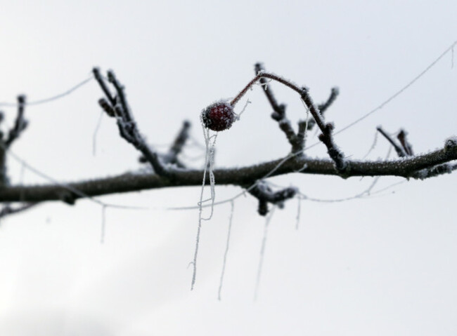 winter-weather-dec-5th-2019