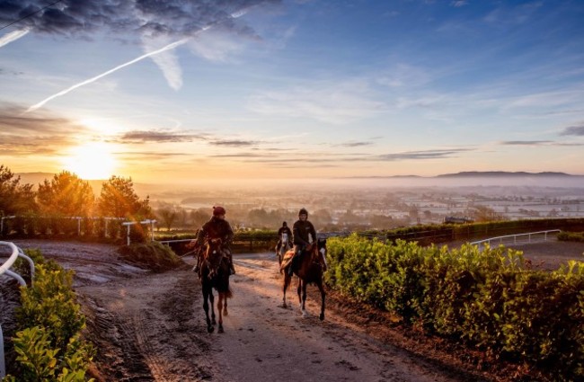 a-view-of-joseph-obriens-horses-as-they-return-to-the-stables-after-the-first-gallop-of-the-morning