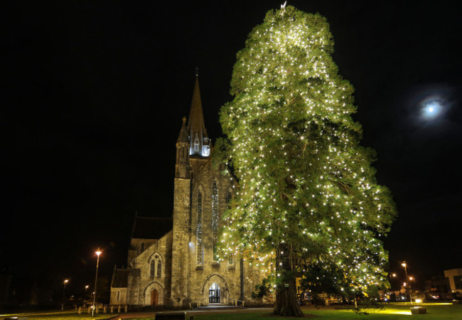 Tree of Light St Marys1