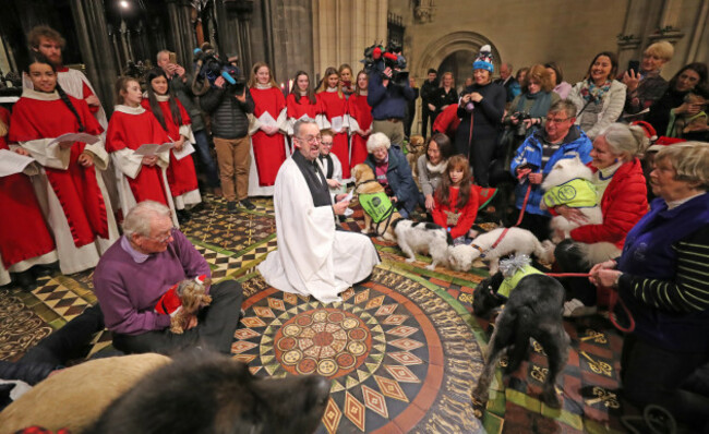 peata-therapy-dog-carol-service