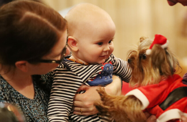 peata-therapy-dog-carol-service