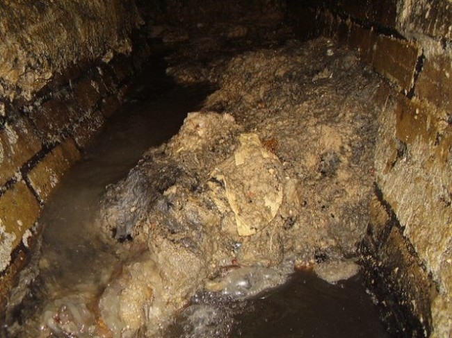 Fatberg Dublin 1