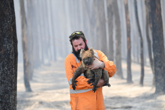 kangaroo-island-bushfires