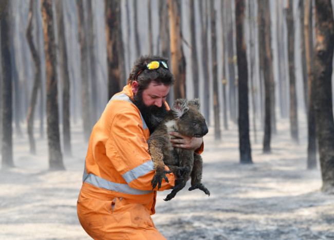 kangaroo-island-bushfires