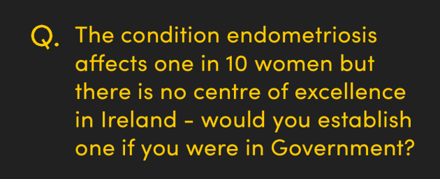 The condition endometriosis affects one in 10 women but there is no centre of excellence in Ireland - would you establish one if you were in Government