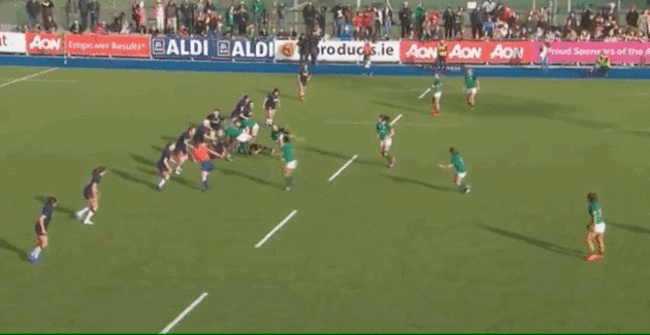 Lineout Edge