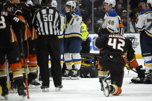 blues-ducks-hockey