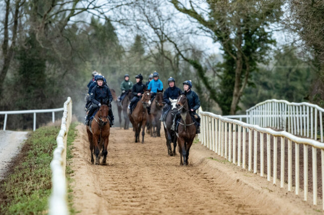 a-view-of-horses-out-on-the-gallops