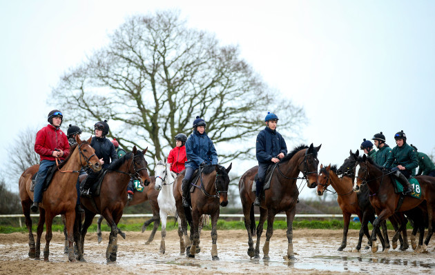 a-view-of-horses-out-on-the-gallops