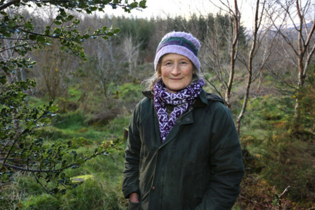 irish-state-owned-forestry-company-coillte-takes-grandmother-to-court-for-cutting-down-hundreds-of-spruce-trees