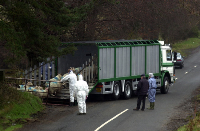 foot-and-mouth-crisis-disease-farming-animals-trucks