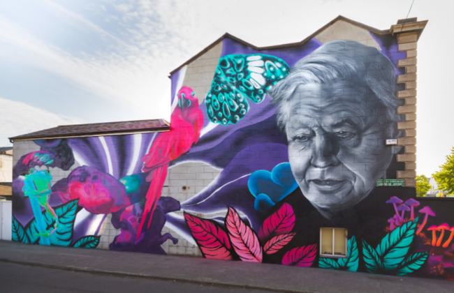 david-attenborough-mural-dublin