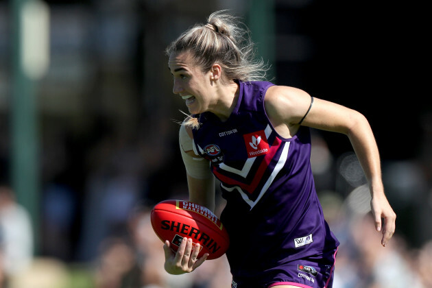 aflw-dockers-cats