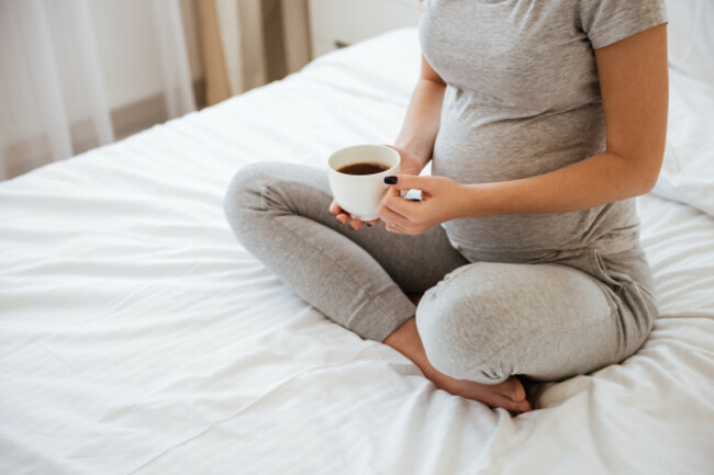 shutterstock_613496192