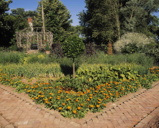 kitchen-garden-ballymaloe-midleton-co-cork-ireland