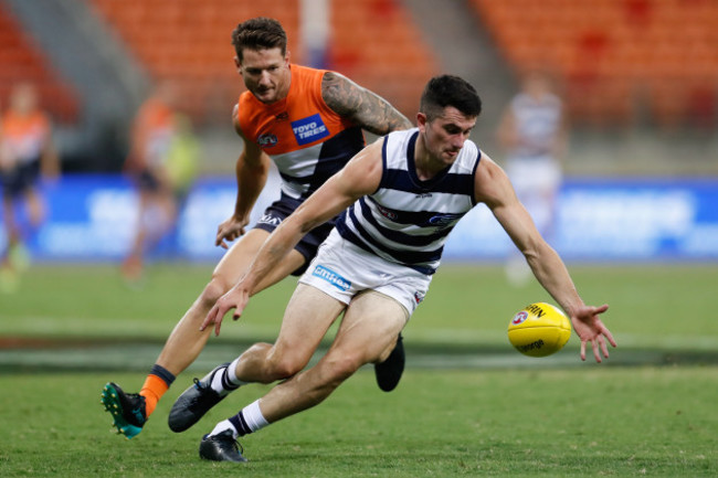 afl-giants-cats