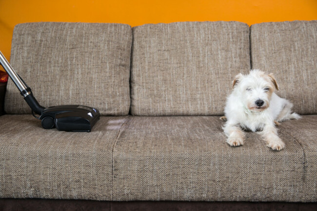 shutterstock_627640307